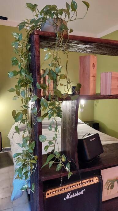 Salotto Monferrato Apartment